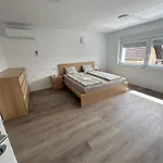 House ليوبليانا